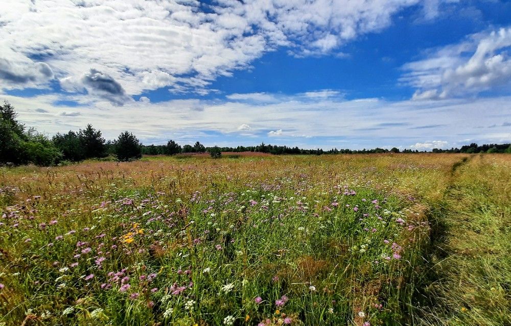 Photograph by Татьяна Червочкина