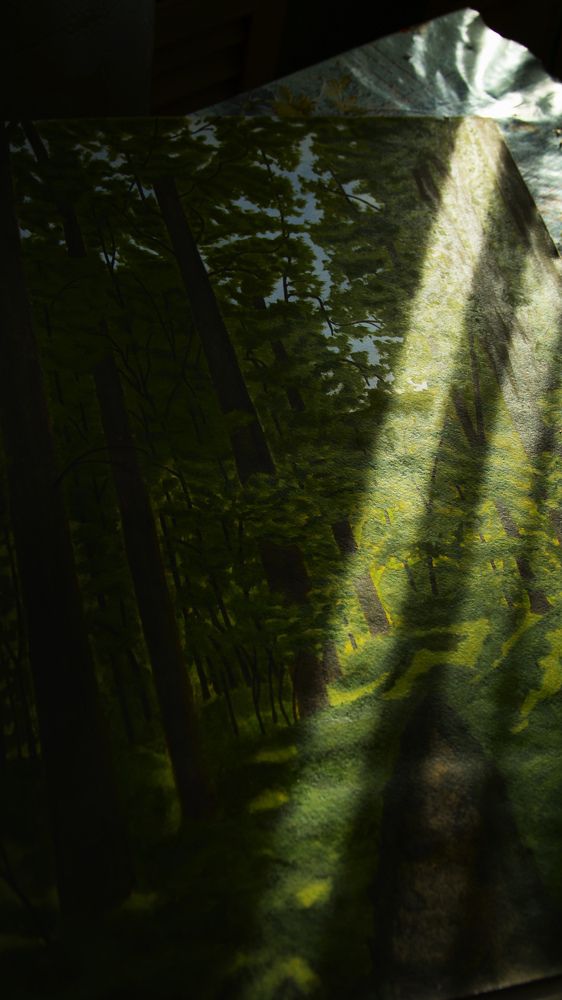 Тропинки  художника