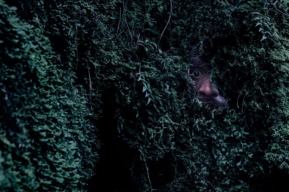 Фотография автора Vishnu Gopal