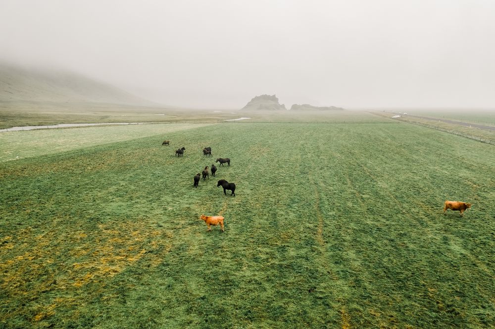 Photograph by Анастасия Сауль