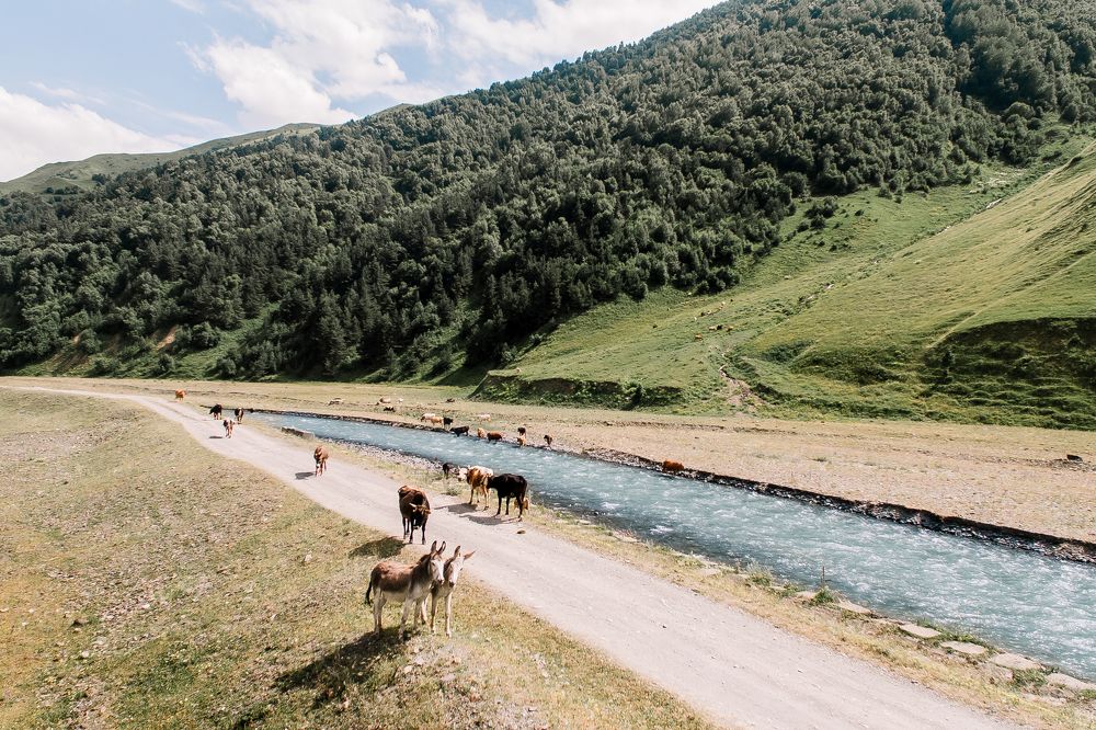 Photograph by Анастасия Сауль