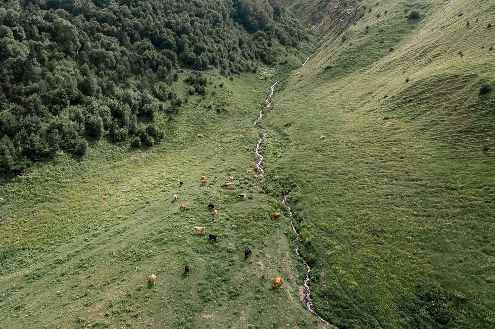 Photograph by Анастасия Сауль