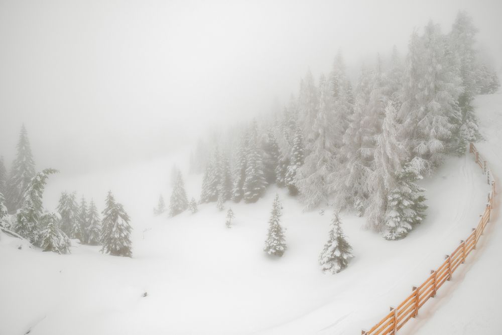 Photograph by Евгений Дробжев