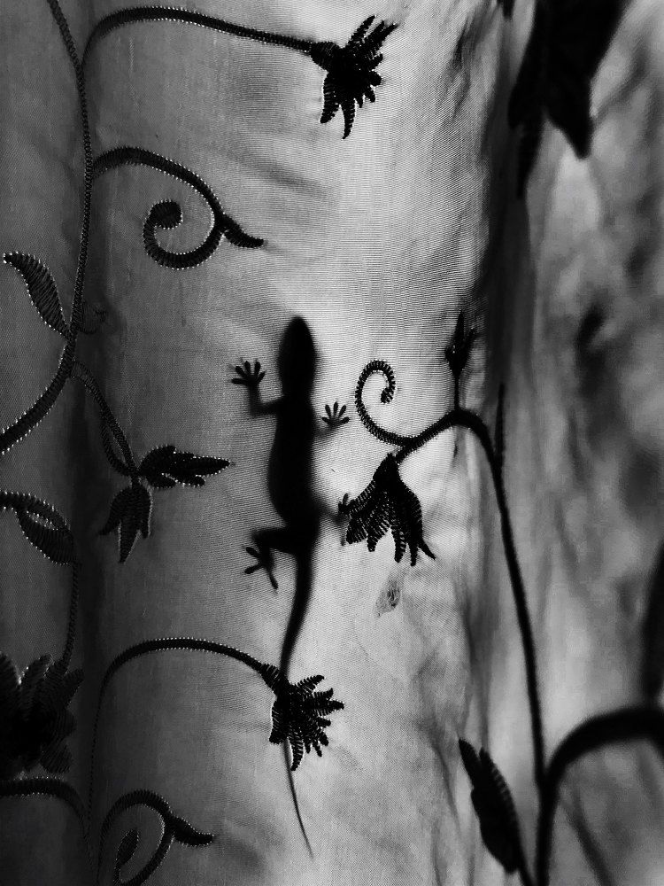 Фотография автора Vishnu Gopal