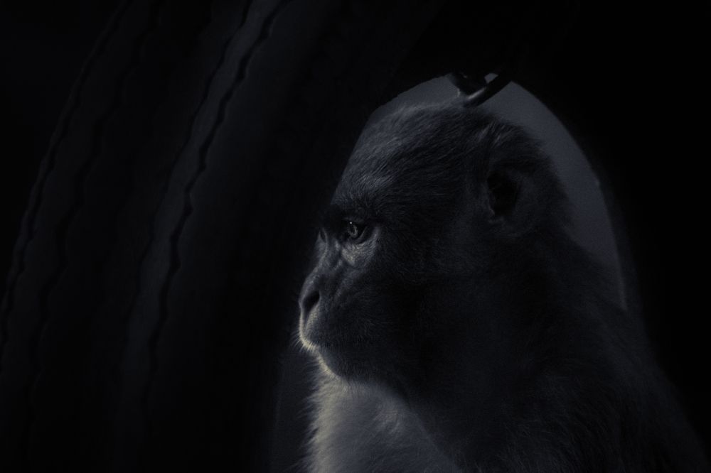 Photograph by Mehedi Hasan Shawan