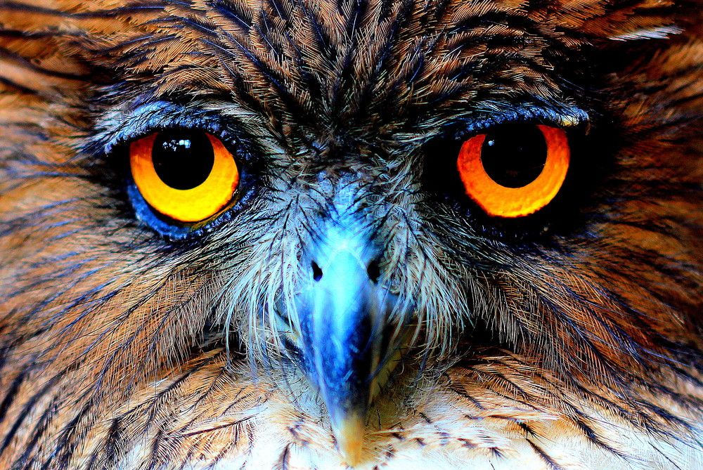 Photograph by Tilaxan Tilaxan