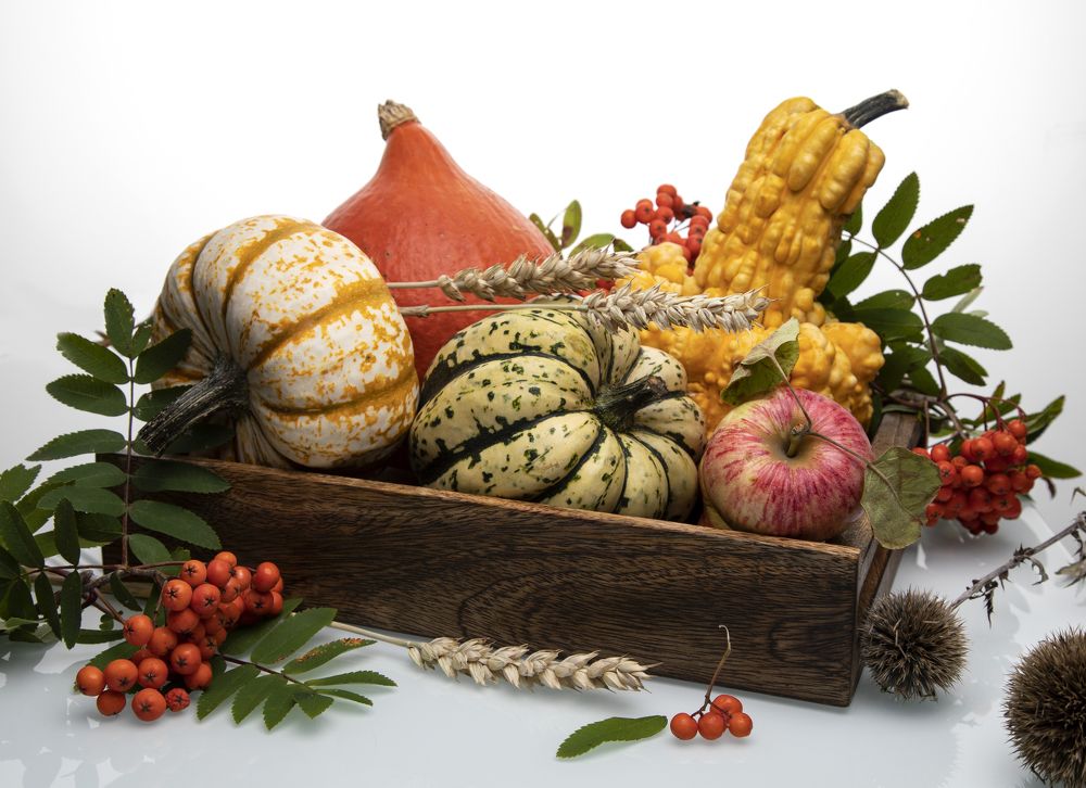 Тыква на белом