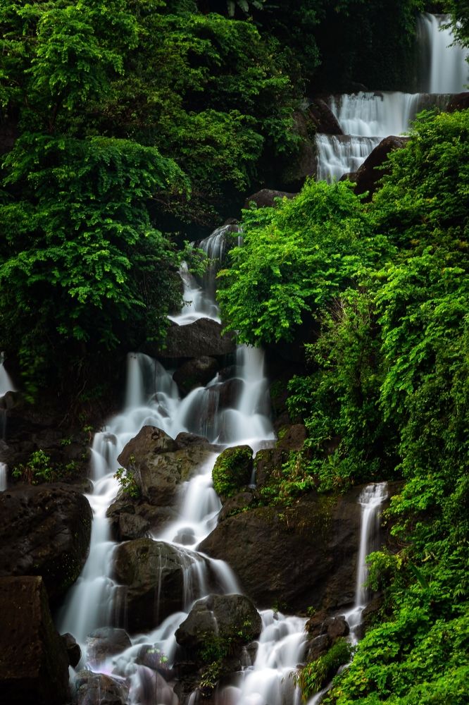 Photograph by Sk. Samit