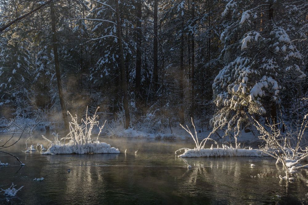 Photograph by Владимир Бессолицын