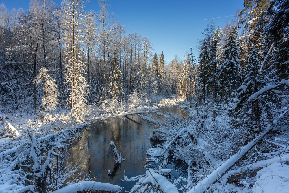 Photograph by Владимир Бессолицын