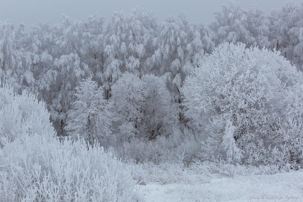 Photograph by Владимир Бессолицын