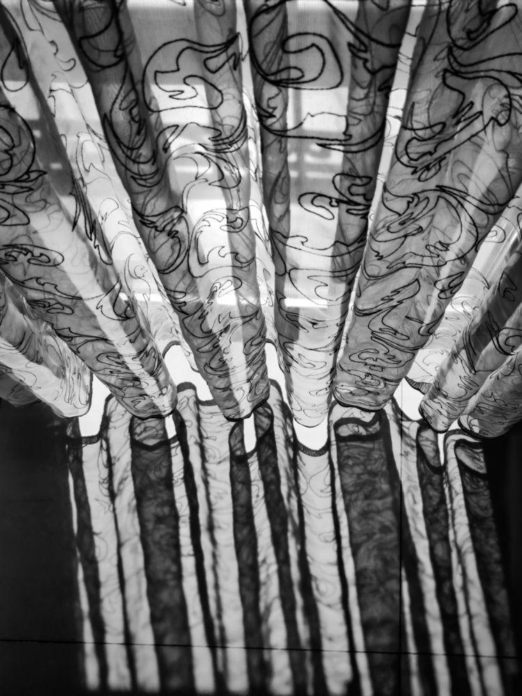 Photograph by Ali Abu Ras