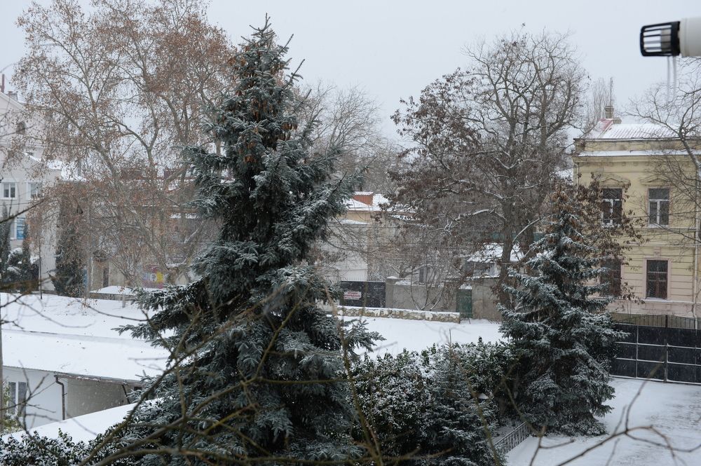 Photograph by Сергей Борисов