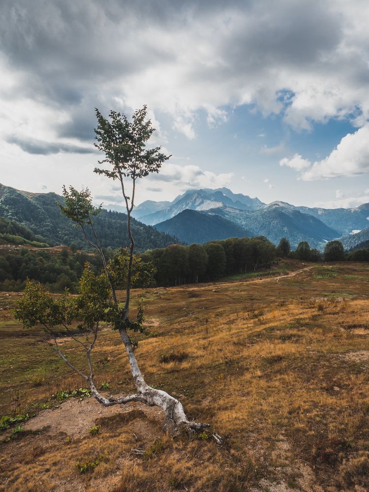 Photograph by Александр Устинов
