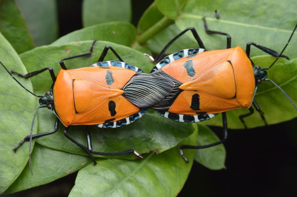 Photograph by Yusak priyanto
