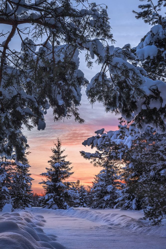 На закате февраля.