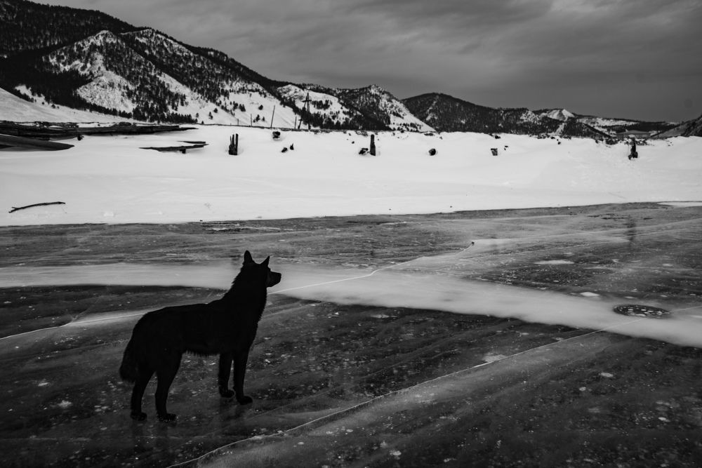 Photograph by Анастасия Токарская