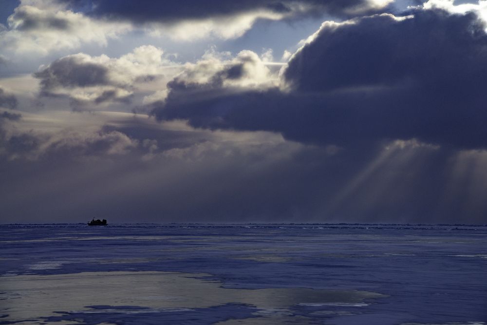 Photograph by Анастасия Токарская