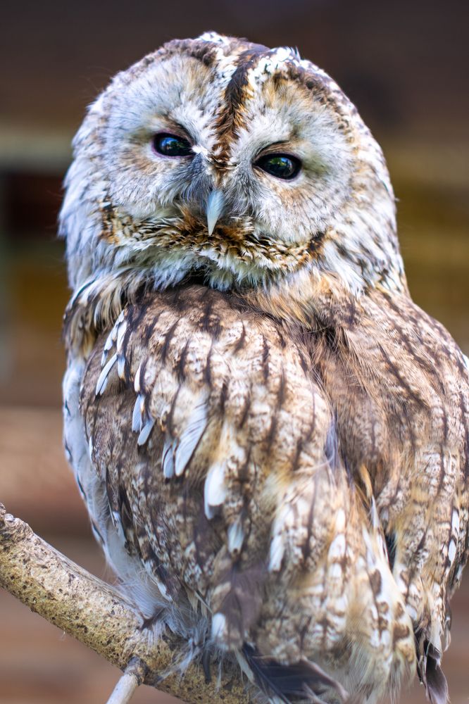 Photograph by Олег Малаев