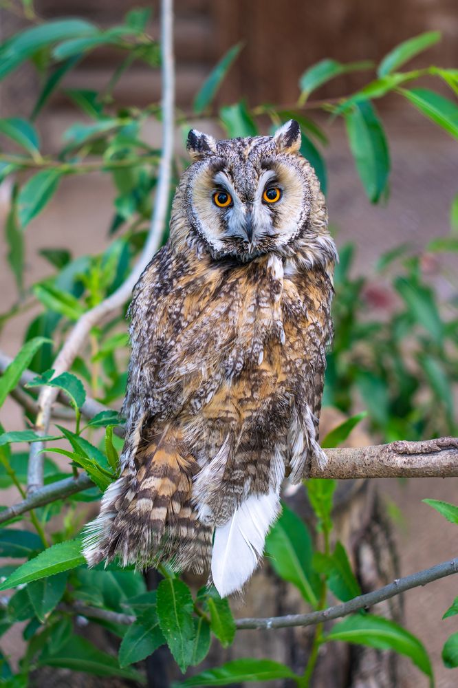 Photograph by Олег Малаев