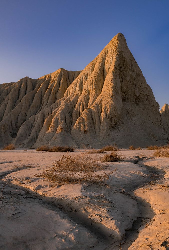 Photograph by Elham Khanpour