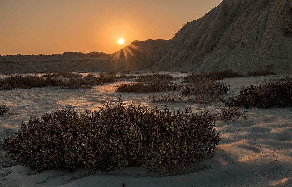 Photograph by Elham Khanpour