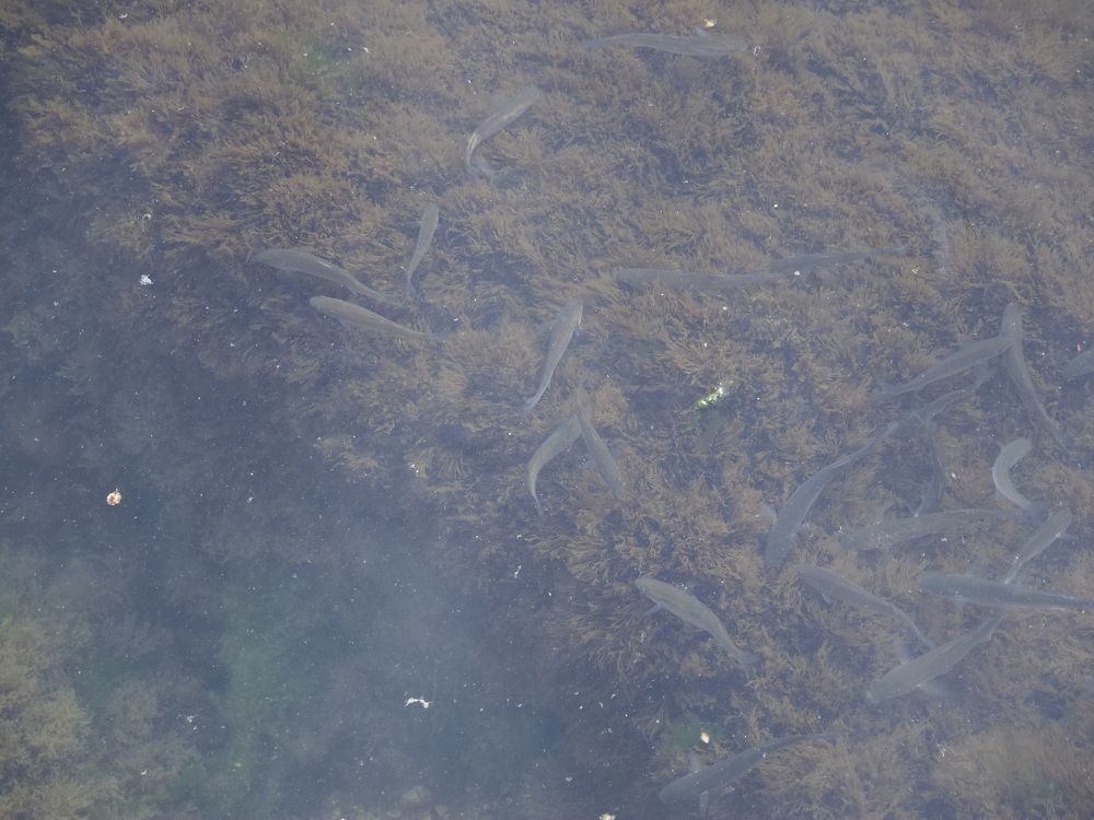 Photograph by Сергей Борисов