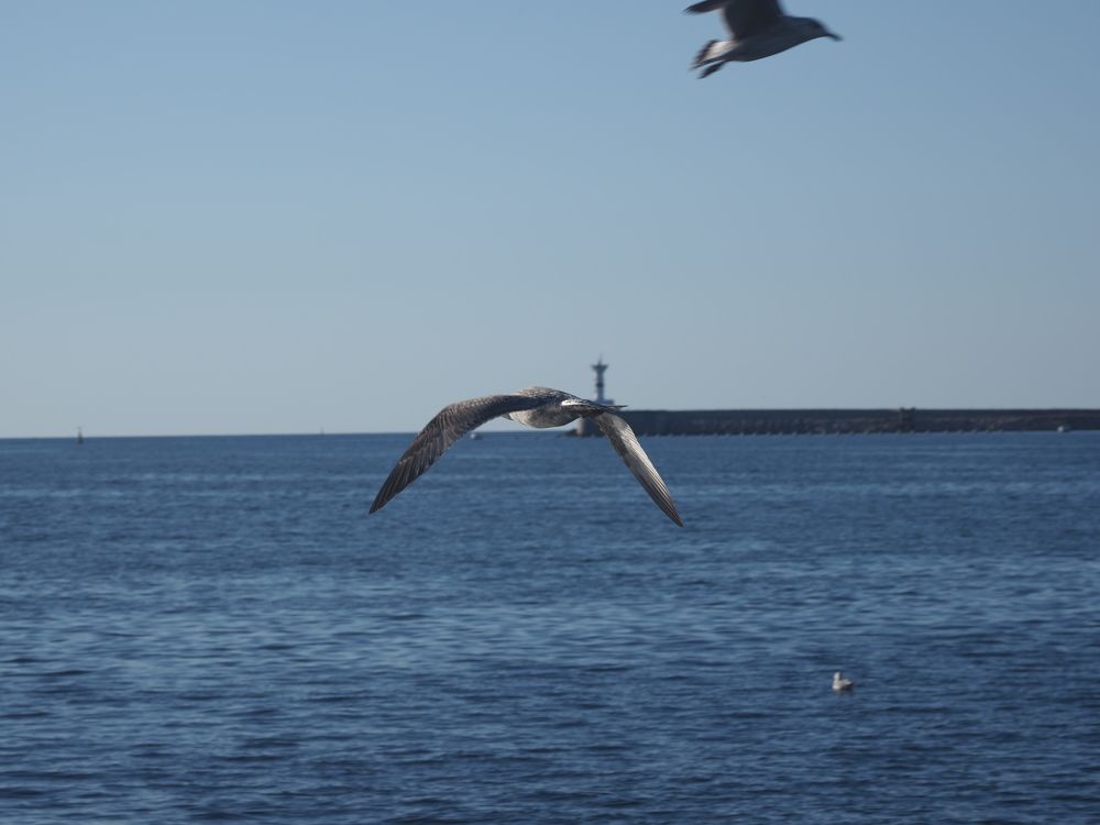 Photograph by Сергей Борисов