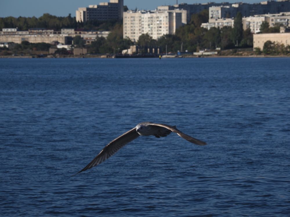 Photograph by Сергей Борисов