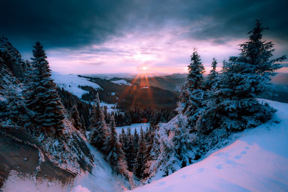 Photograph by Andrei Nicuta