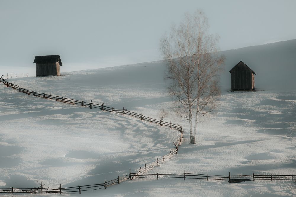 Photograph by Andrei Nicuta