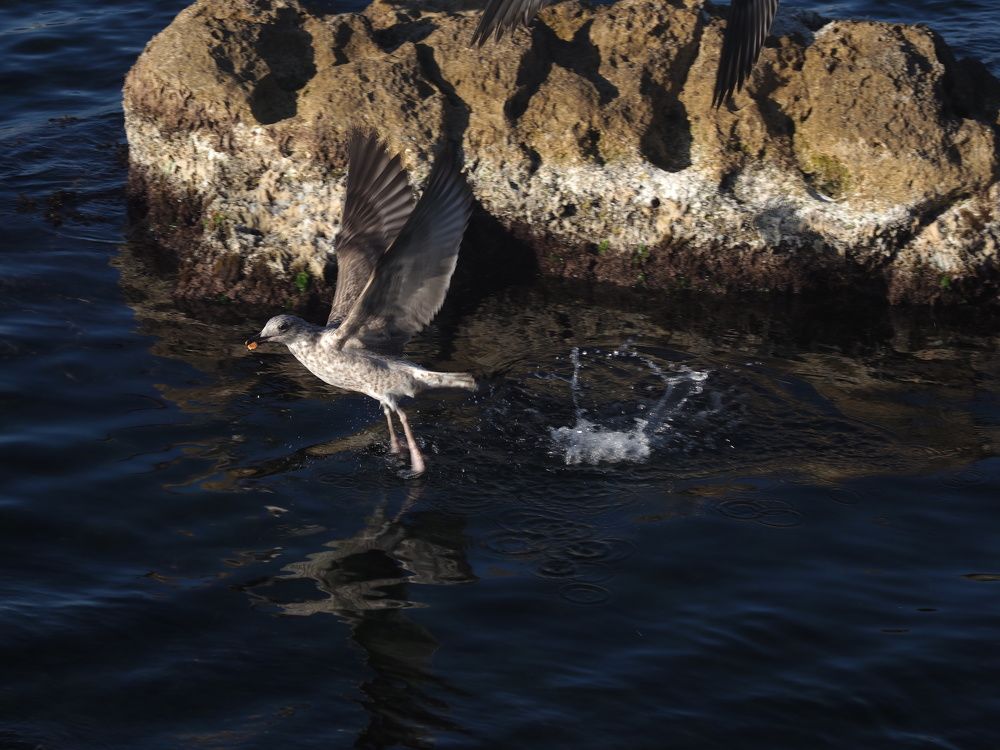 Photograph by Сергей Борисов