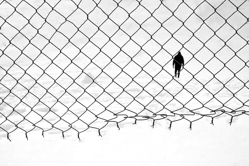 Photograph by Maryam Jafari