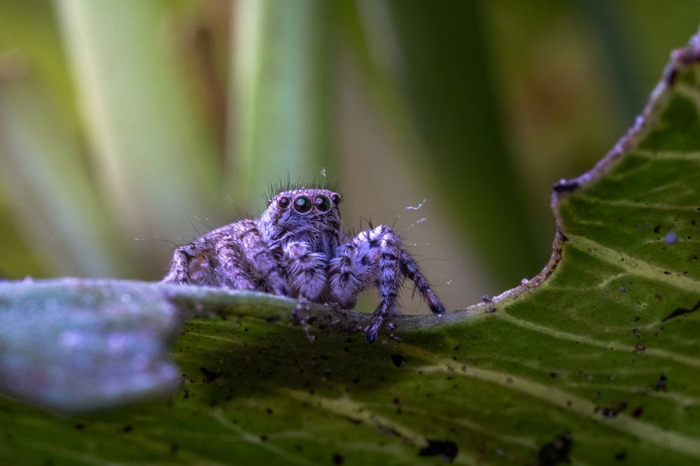 Photograph by Jaylord Plaza