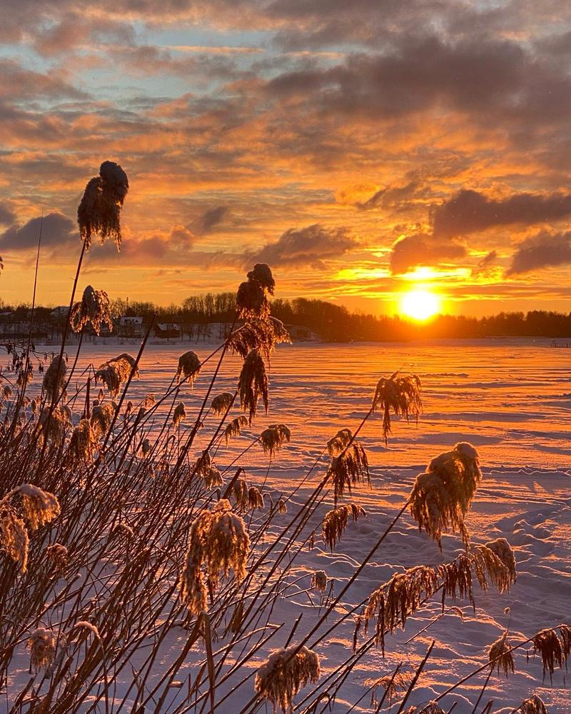 Photograph by Анатолий Андреев