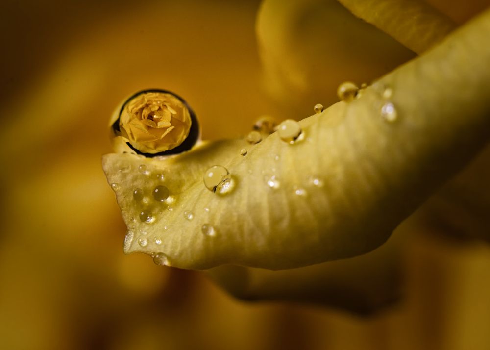 Photograph by Маргарита Сидорук