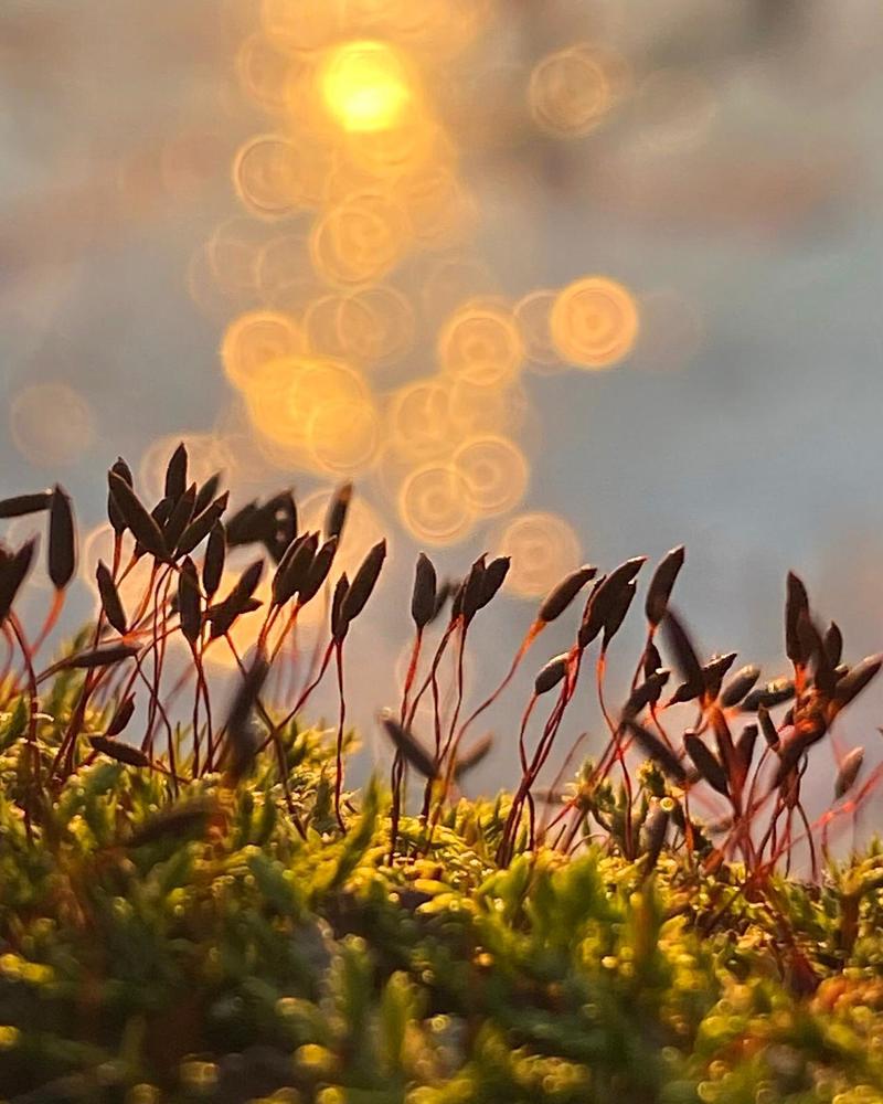 Photograph by Анатолий Андреев