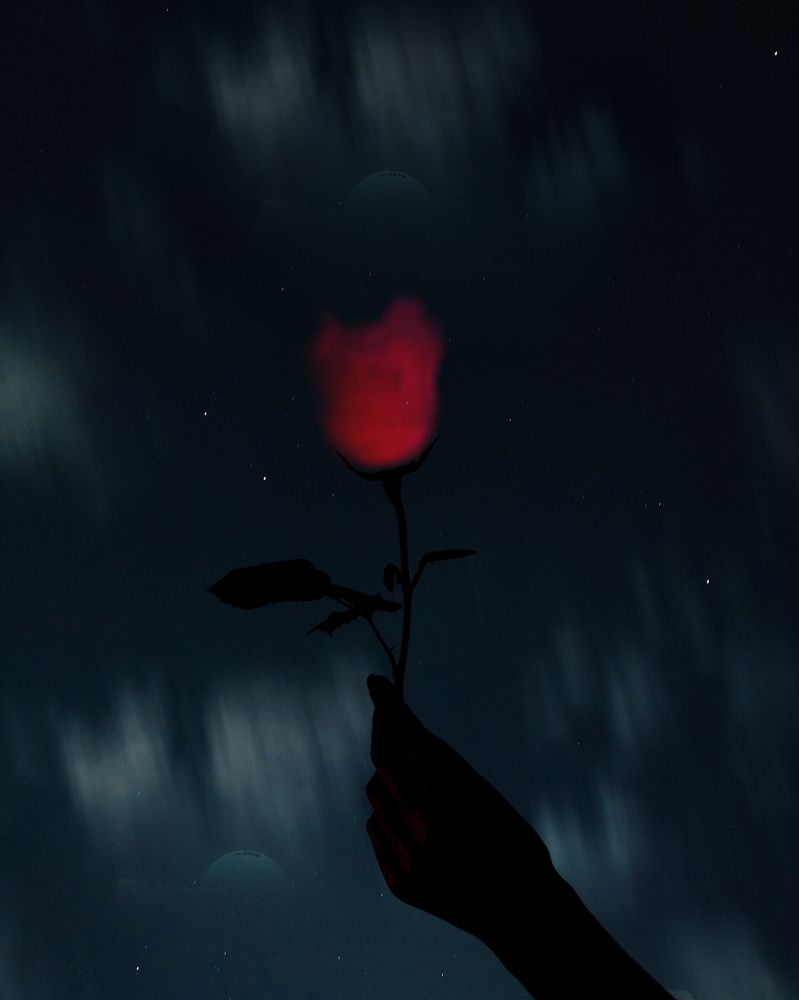 Photograph by Harsh Kushwah