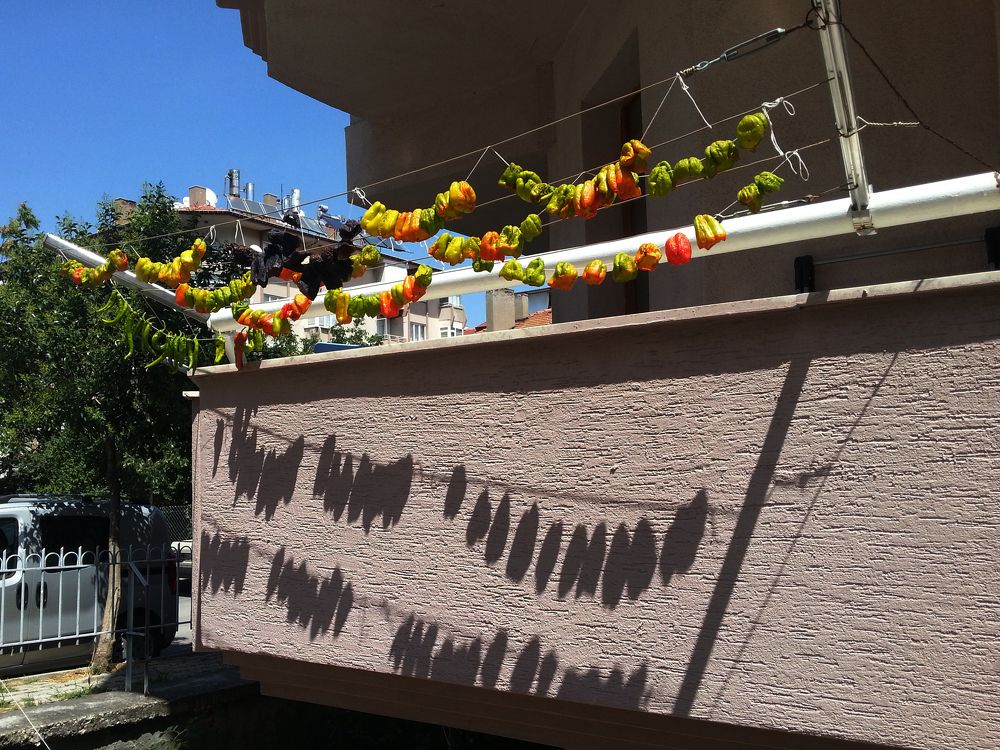 Photograph by Cengiz Sakarya