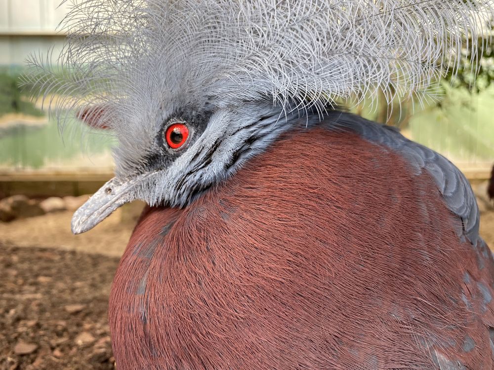 Фотография автора Ramin Ismayilov