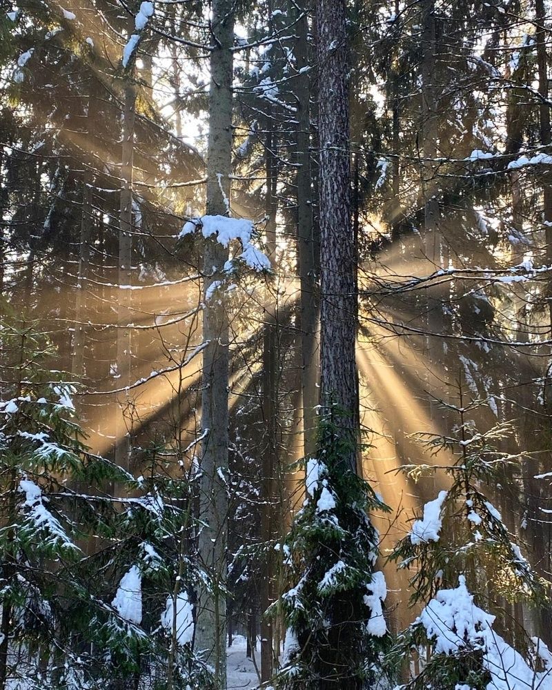 Photograph by Анатолий Андреев