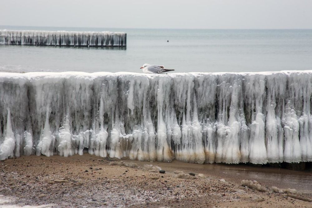 Photograph by Игорь Селин