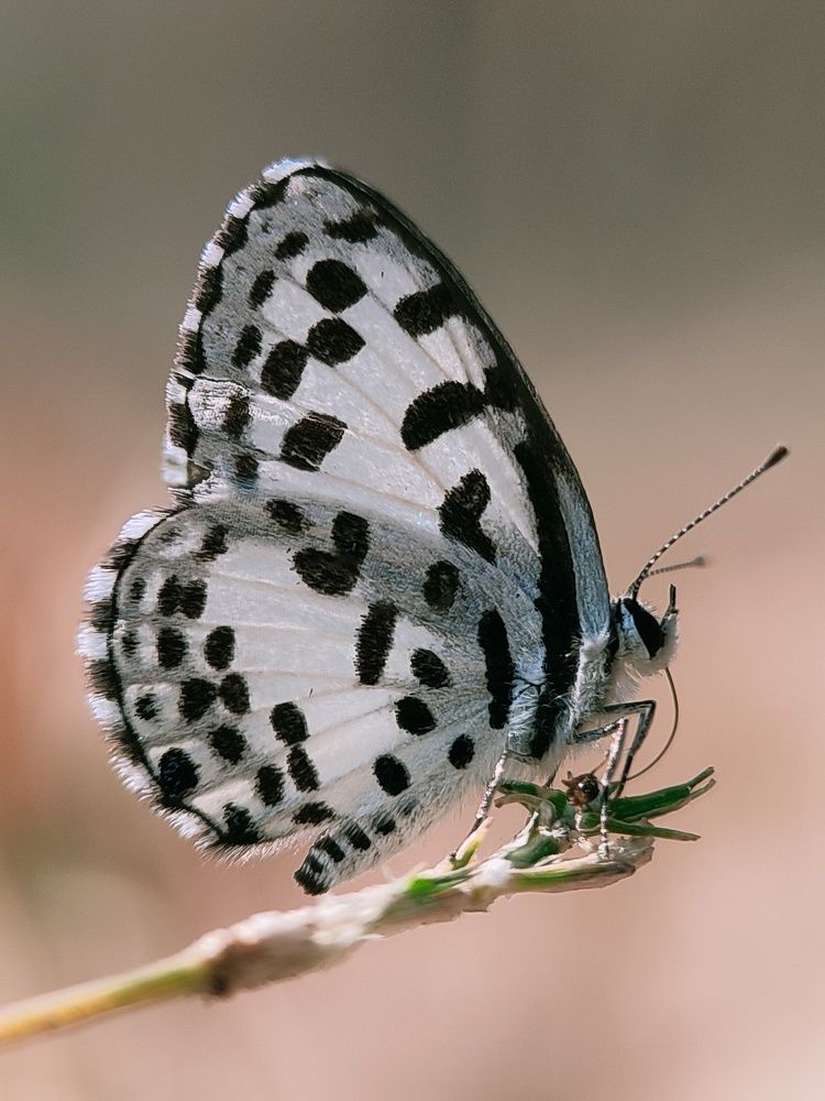 Photograph by Saurav Gupta