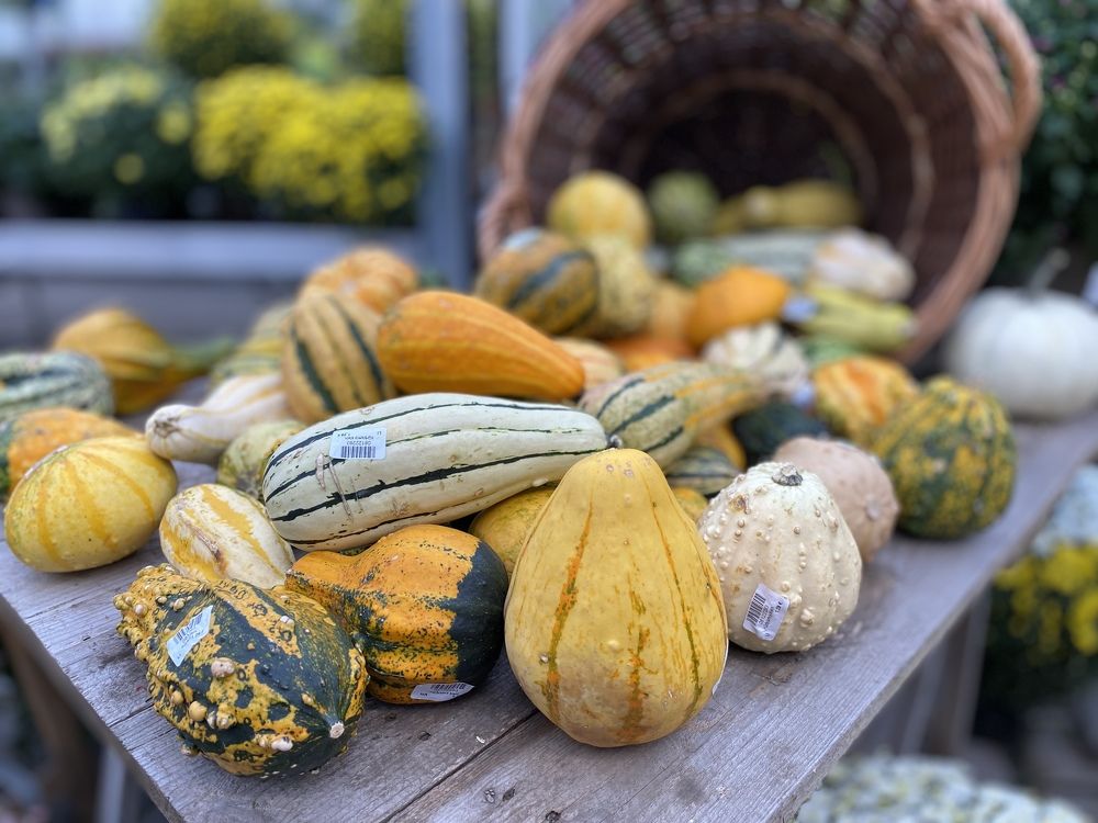 Фотография автора Ramin Ismayilov