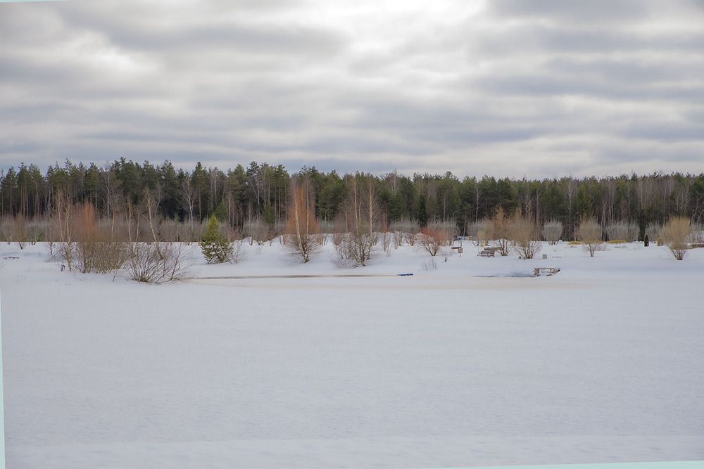 Photograph by Эдуард Шадров