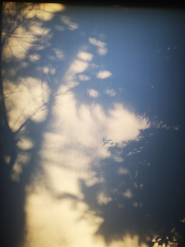 Photograph by Cengiz Sakarya