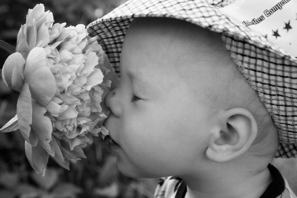 Photograph by Елена Копейкина