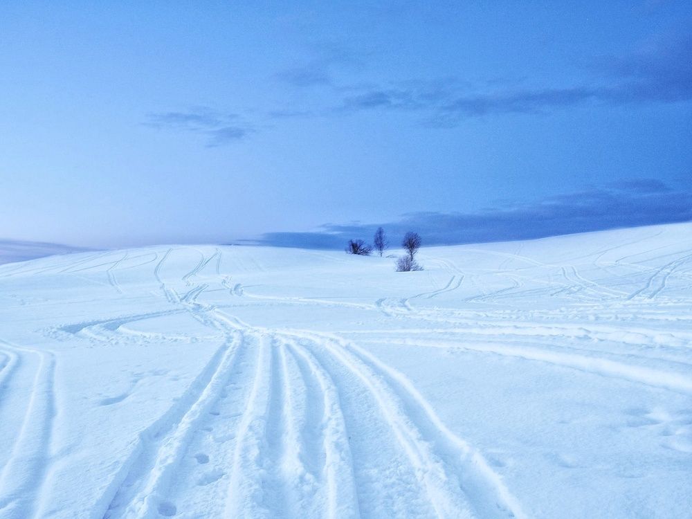 Photograph by Дмитрий Шамин