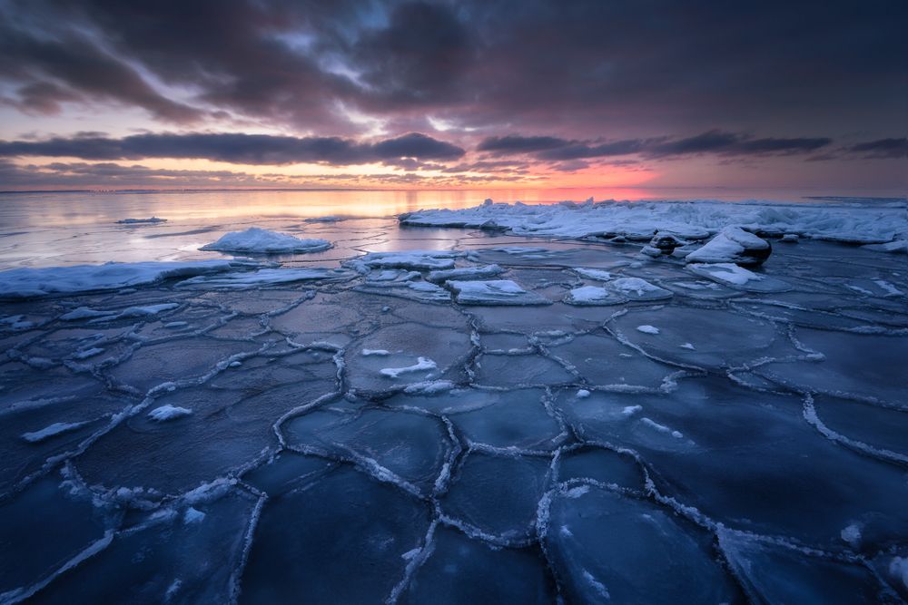 Photograph by Patryk Janota