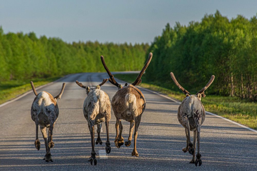 Photograph by Павел Невенчаный